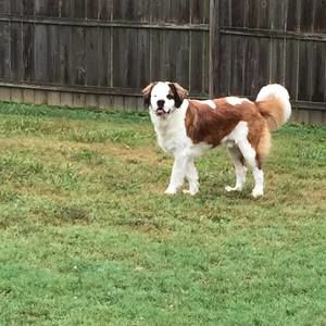 Meet your Posher, Pamela